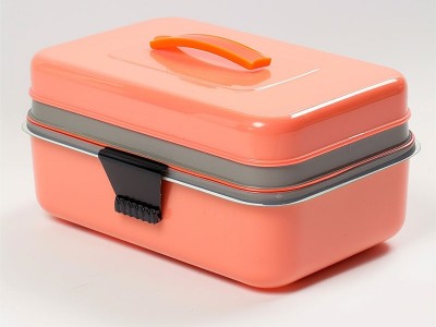 注塑塑膠飯盒模具生產廠家 注塑塑膠飯盒模具生產廠家